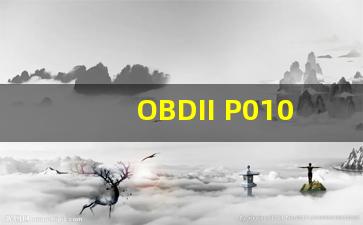 OBDII P0103,OBDII P0304